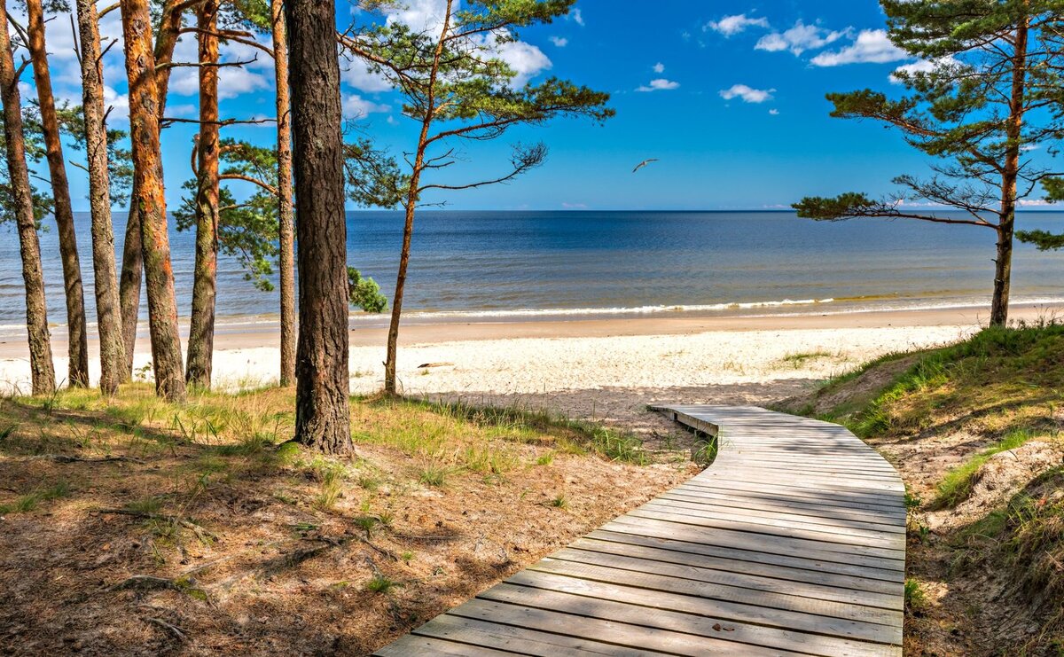 Jūrmala — Kiefernwald trifft auf weißen Quarzsand der Ostsee, 25 km von Riga.