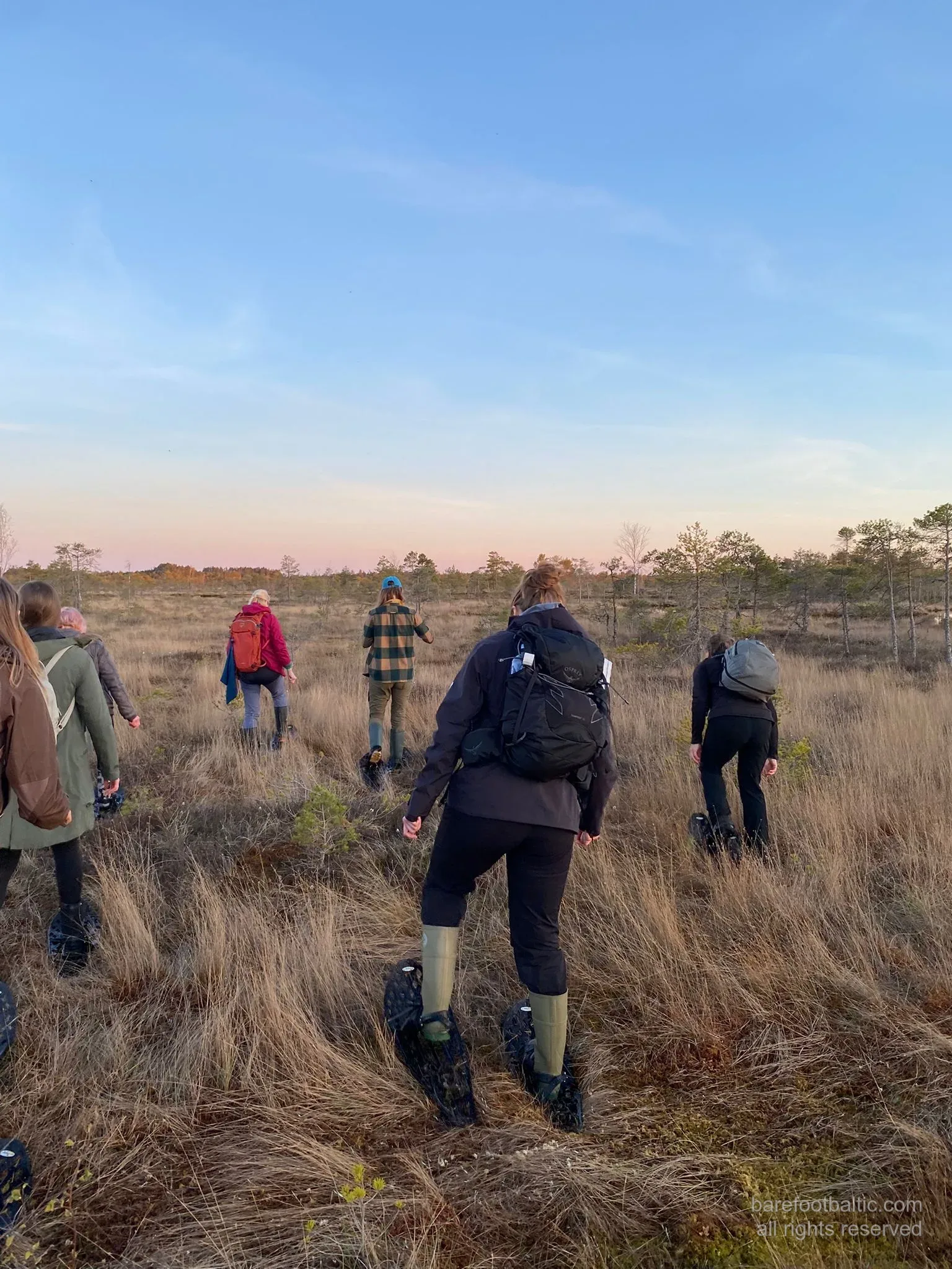Unsere Gruppe auf dem Moor bei Sonnenuntergang