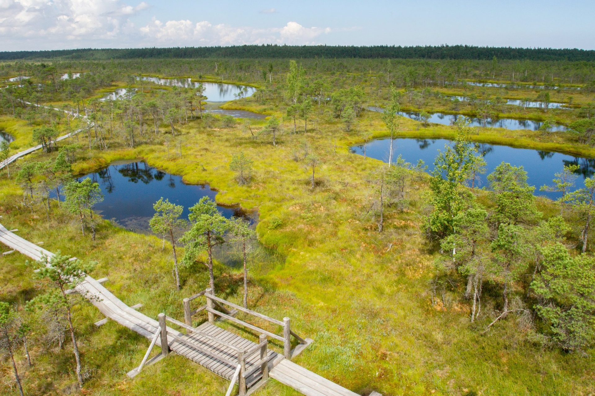 Hölzerner Bohlenweg an einem stillen Tümpel im Ķemeri-Hochmoor