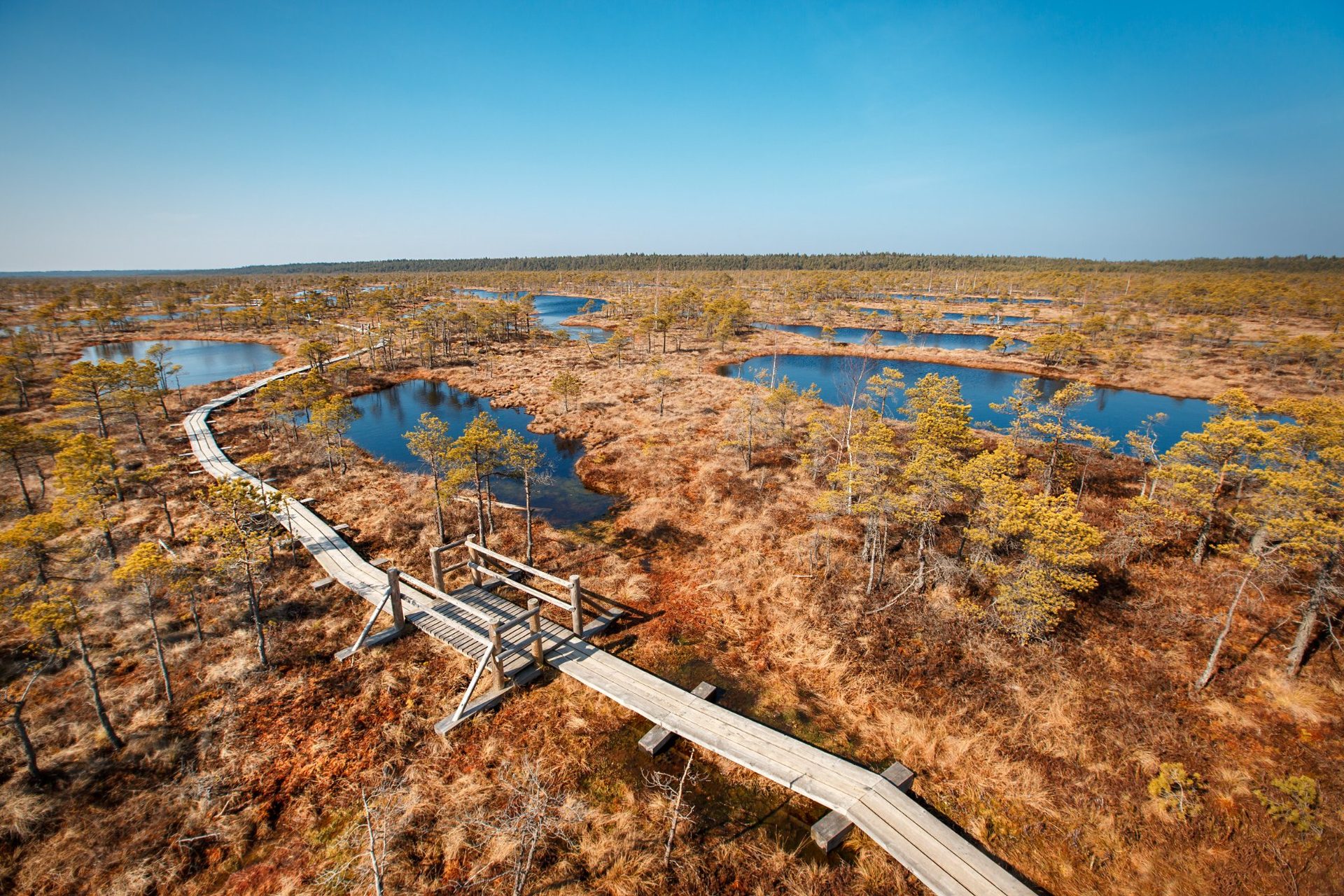 Luftaufnahme des Bohlenwegs im Großen Ķemeri-Hochmoor an spiegelglatten Mooraugen vorbei, Ķemeri-Nationalpark, Lettland